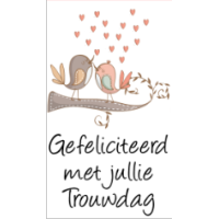 Geluksengeltje bruidspaar met kaartje